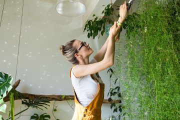 Eco-friendly Home Improvements