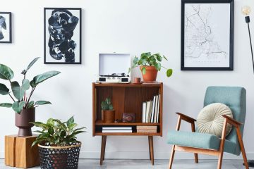 Home Decor and Styling Trends