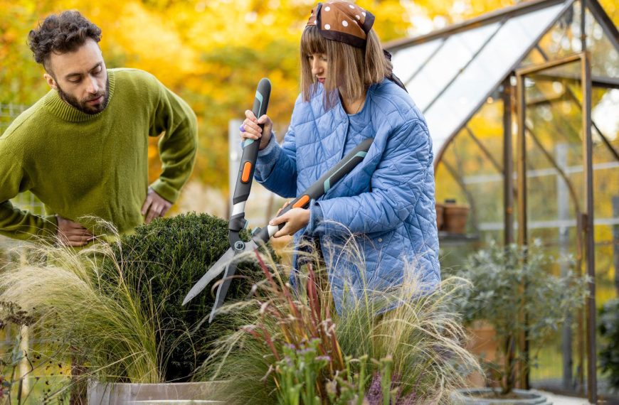 Seasonal Gardening